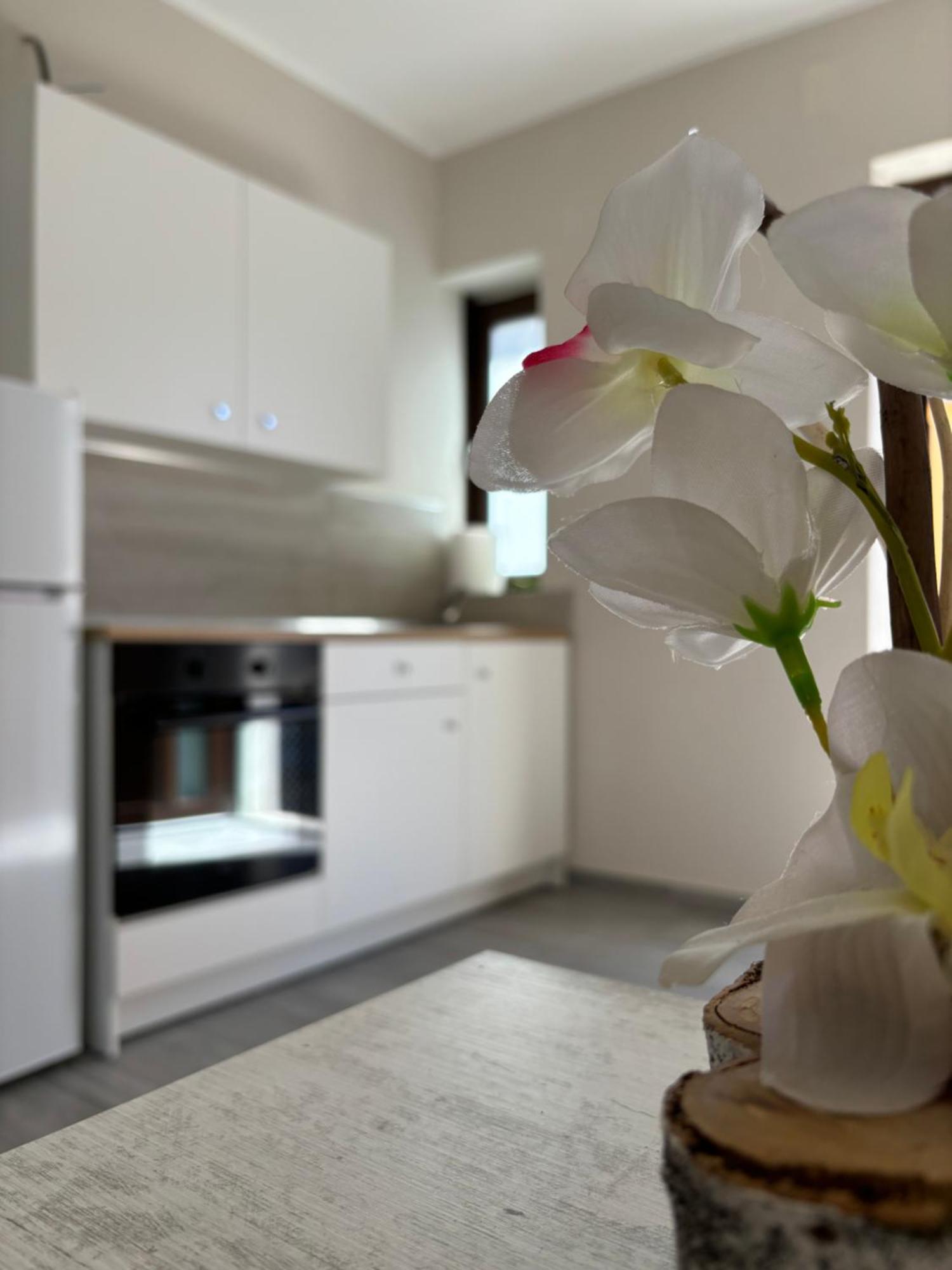 Borgo Albergo Vulturis Rapolla Bagian luar foto