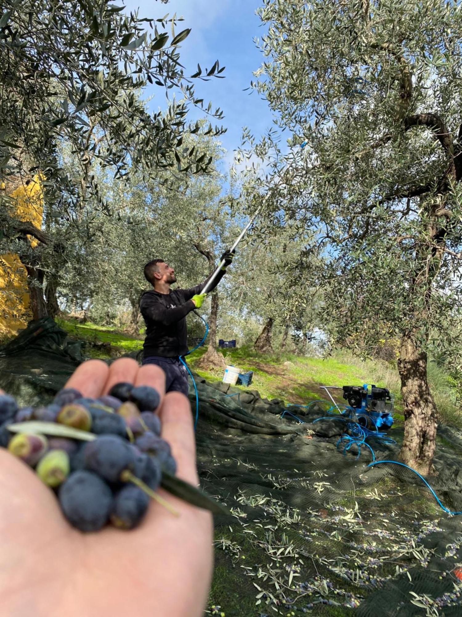 Borgo Albergo Vulturis Rapolla Bagian luar foto
